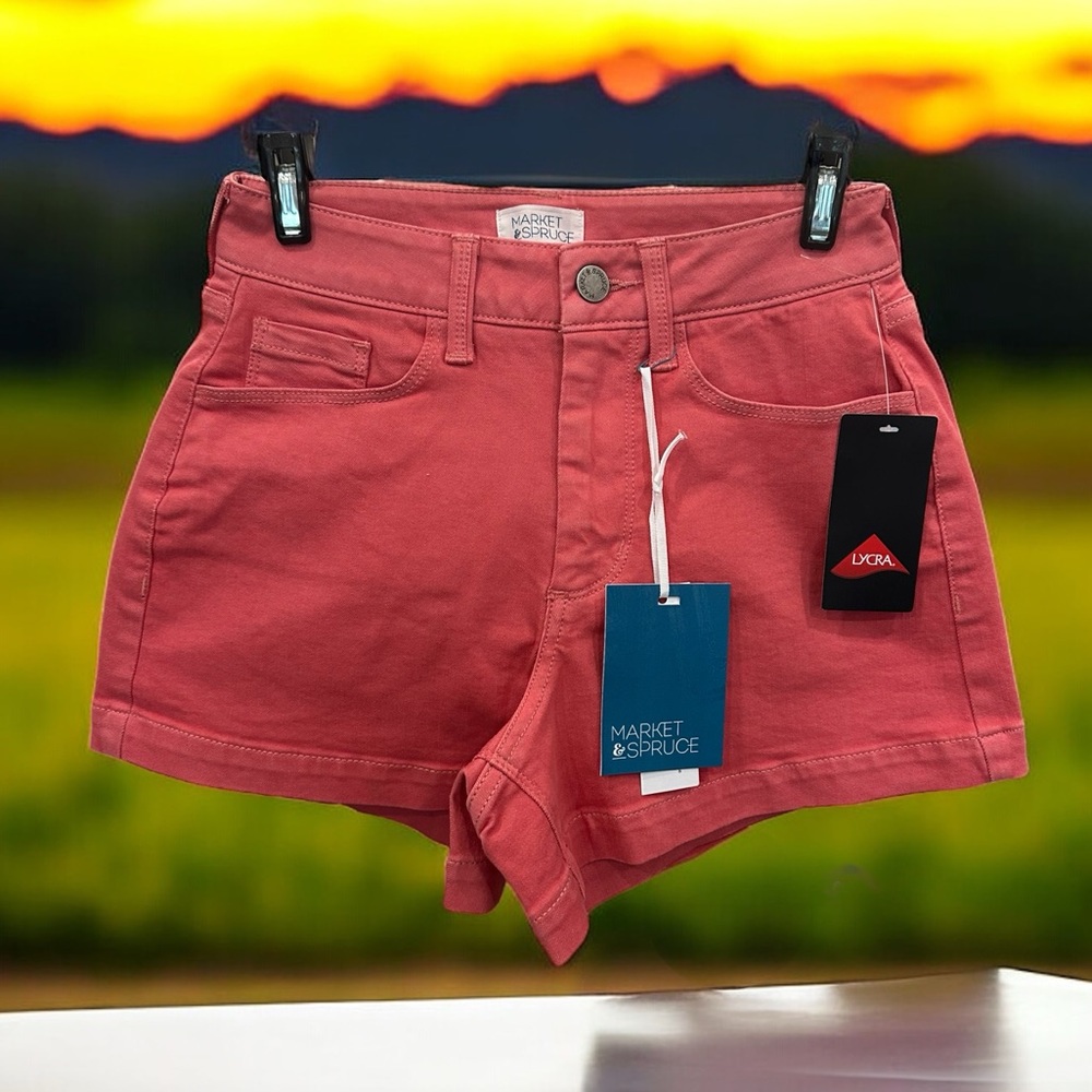 Market & Spruce Pink Shorts Size 0 NWT